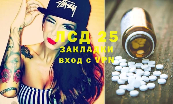 гашик Зерноград